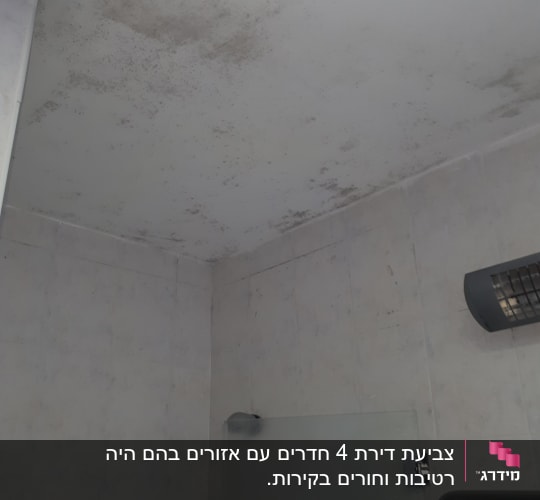 תקרה עם כתמי עובש כהים